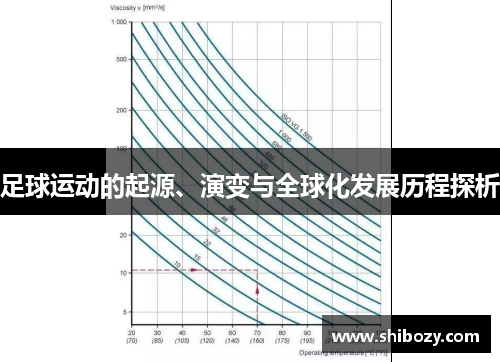 足球运动的起源、演变与全球化发展历程探析