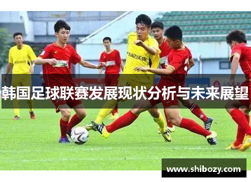 韩国足球联赛发展现状分析与未来展望