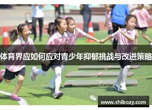 体育界应如何应对青少年抑郁挑战与改进策略