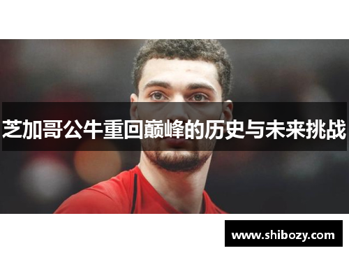 芝加哥公牛重回巅峰的历史与未来挑战