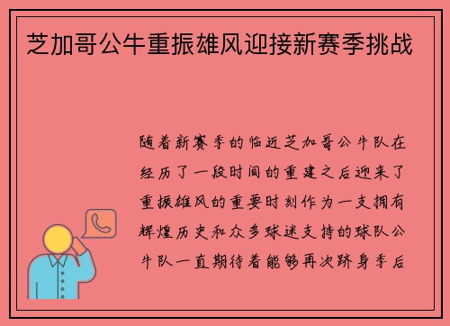 芝加哥公牛重振雄风迎接新赛季挑战